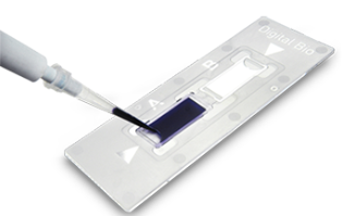 C-chip™: emocitometro in plastica monouso