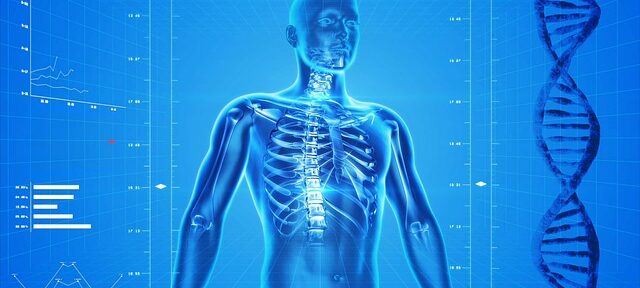 Metabolismo osseo: kits per ricerca e routine